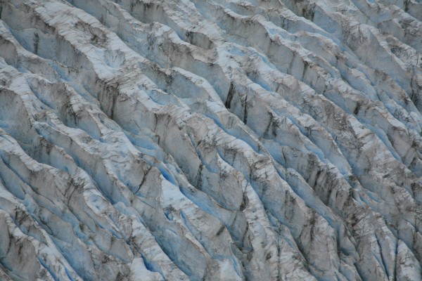 Glacier Bay N.P.