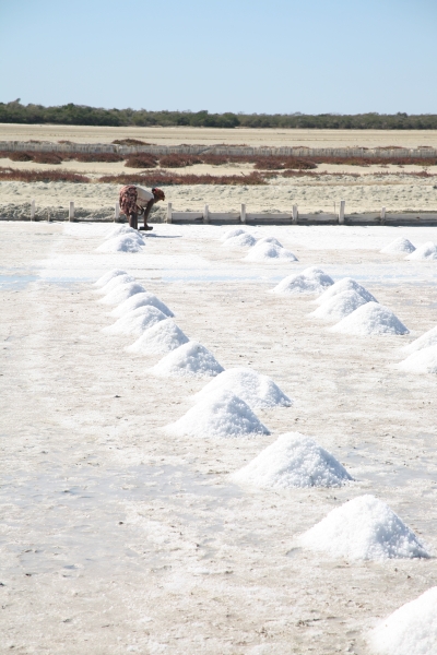 Salines