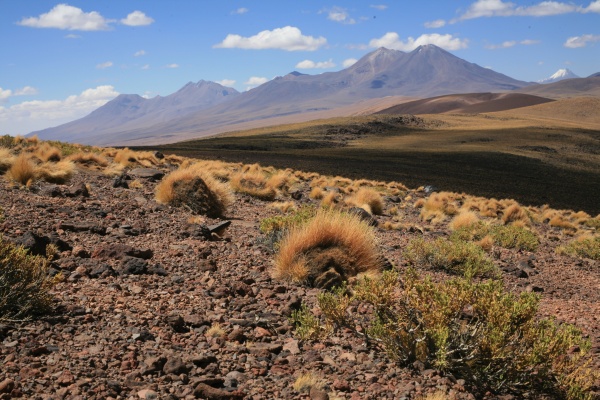 Chilean Andes