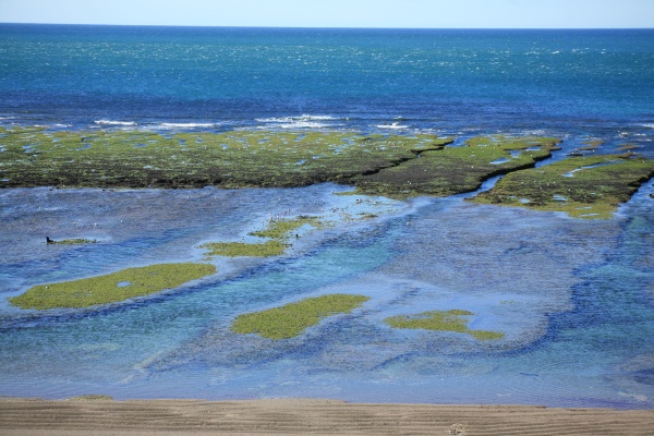 Punta Norte, Península Valdés