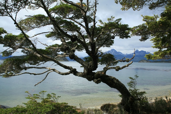 Tierra del Fuego National Park