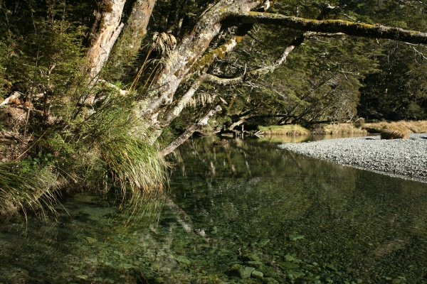 Resting spot by the Routeburn river