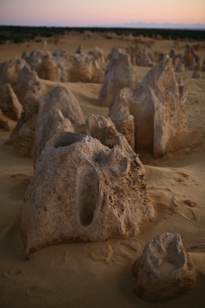 Pinnacles desert