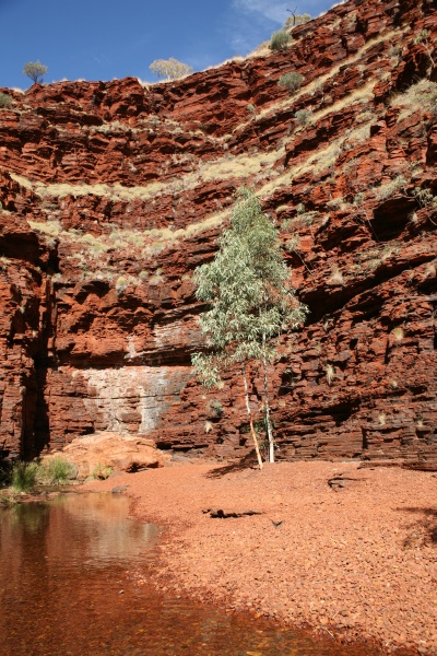 Amphitheatre, Hancock gorge