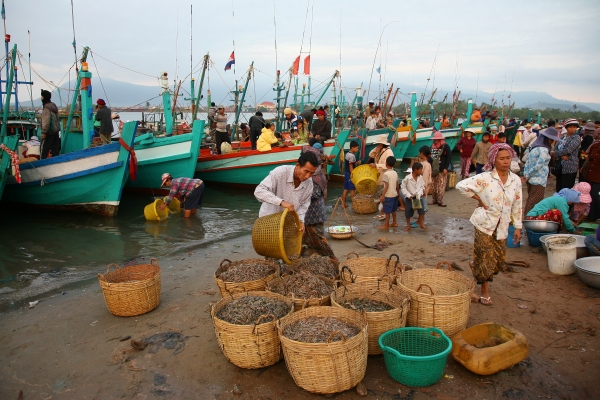 Fish market, Kampot