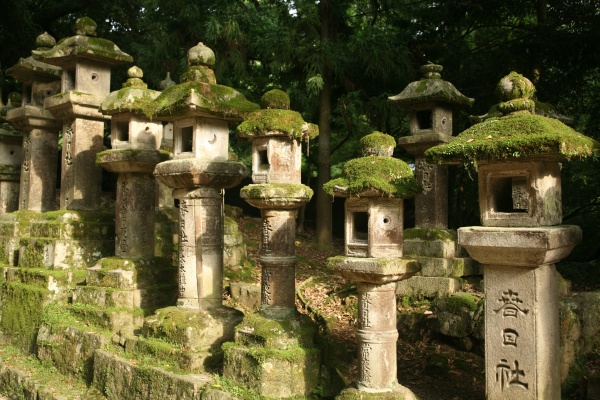 Kasuga Taisha lanterns