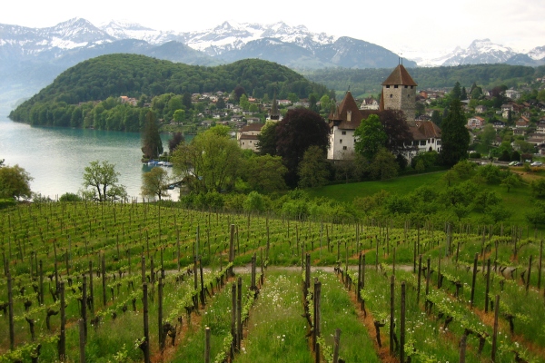Spiez castle
