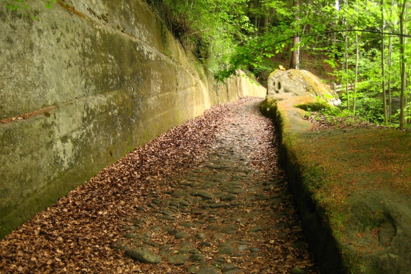 In the path of the Romans