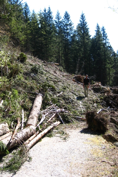 Debris from an avalanche